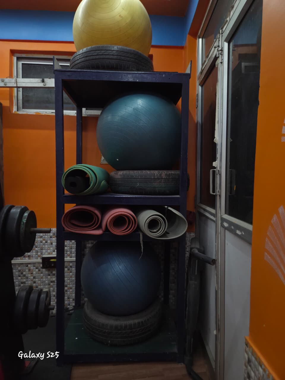gym3