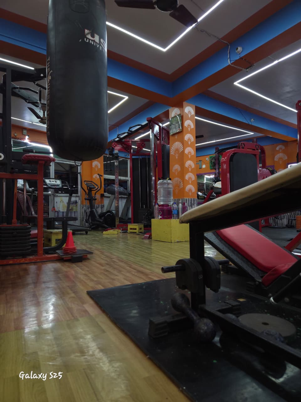gym15