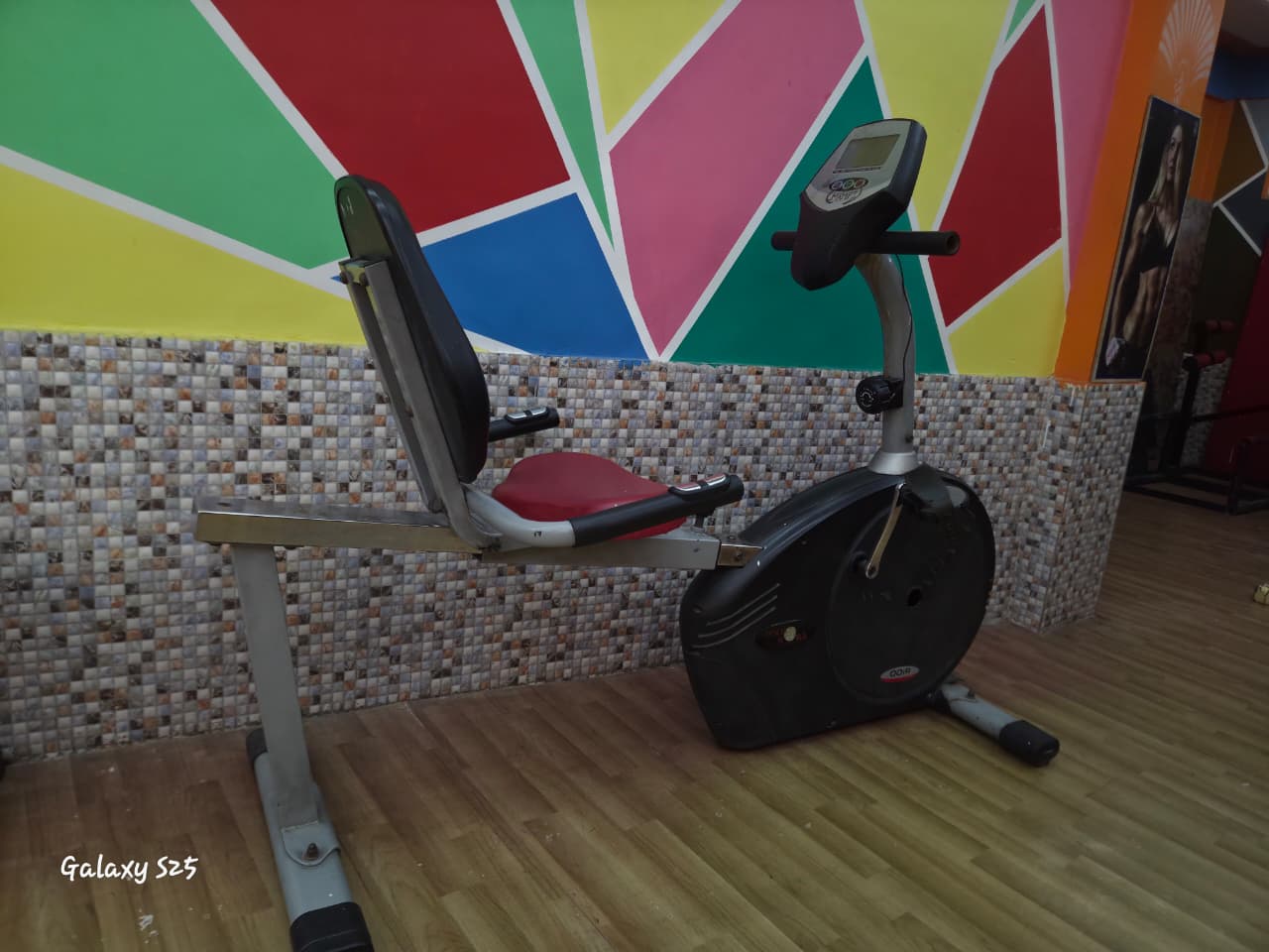gym6