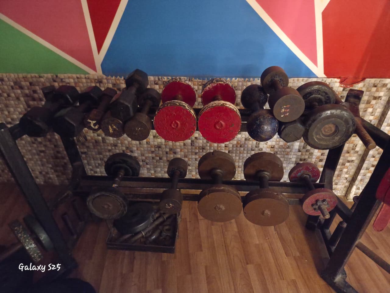gym24