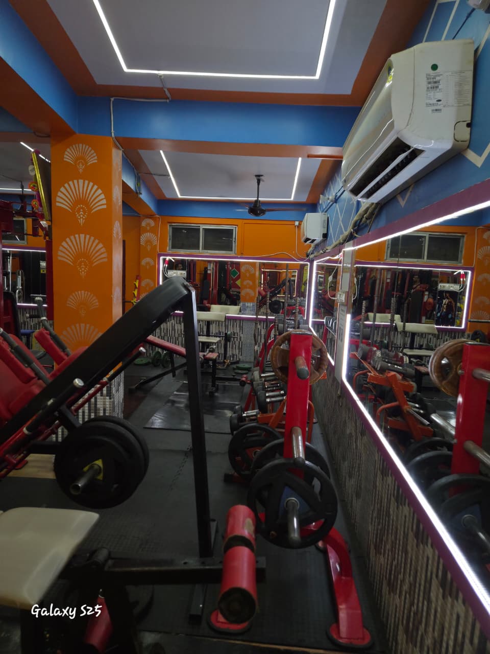 gym28