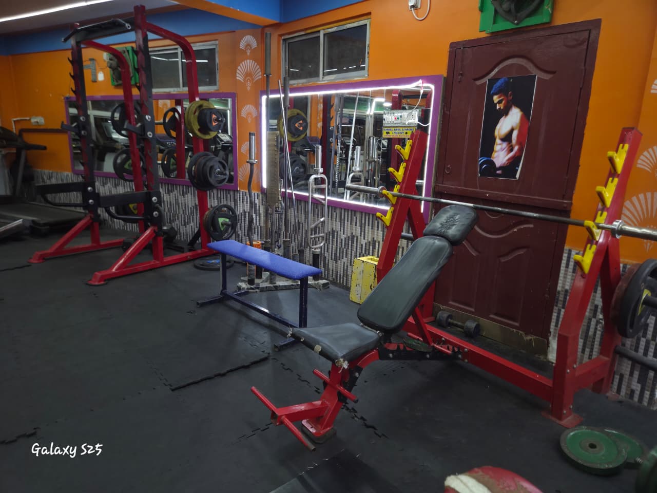 gym31